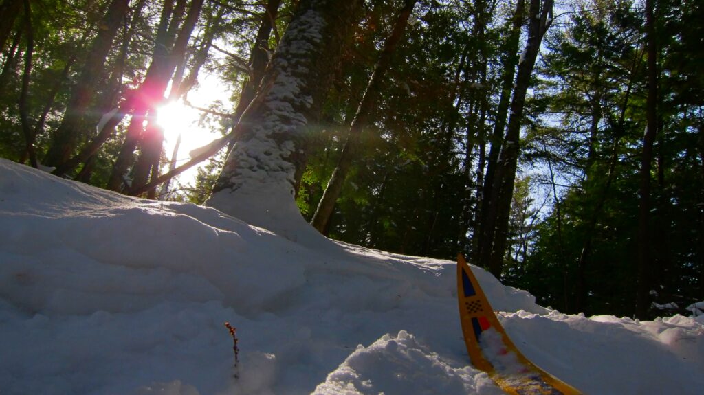 Sun poking through trees, ski tip in forefront on ski trail