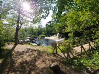 waterfall from sleuce with sun poking through trees over walking bridge