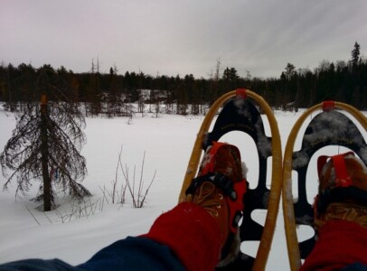 snowshoes in front of a snowy field