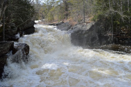 Rapids cascading between rocjks